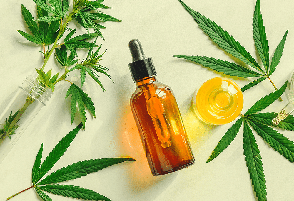 The Best CBD Oil for Dogs in Canada: Top Picks for 2024